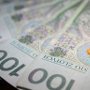 Bezpiecze%F1stwo+oszcz%EAdno%B6ci.+Czy+co%B6+takiego+w+og%F3le+istnieje%3F