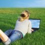 Neobank+znosi+limit%3A+Lokata+onLINE+dla+wszystkich+%28nowych+klient%F3w%29