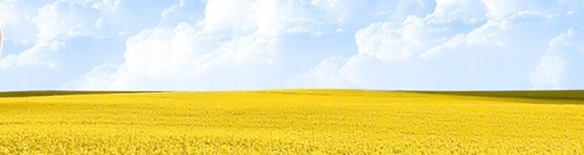 Obraz wprowadzający do artykułu