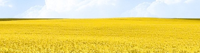 Obraz wprowadzający do artykułu