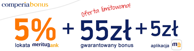 Obraz wprowadzający do artykułu