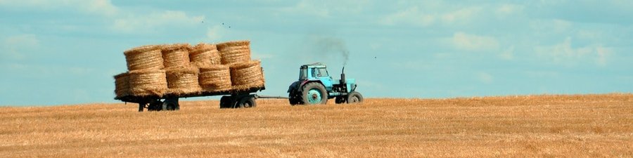 Obraz wprowadzający do artykułu