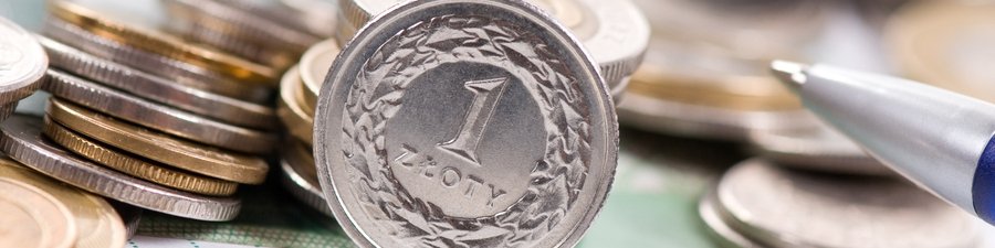 Obraz wprowadzający do artykułu