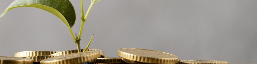 Obraz wprowadzający do artykułu