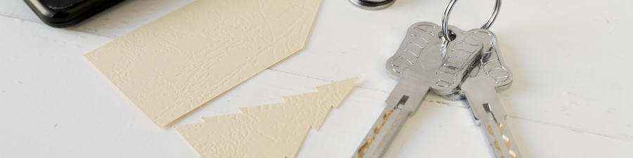 Obraz wprowadzający do artykułu