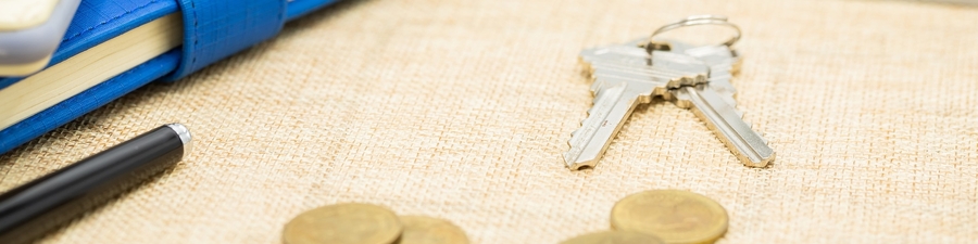 Obraz wprowadzający do artykułu