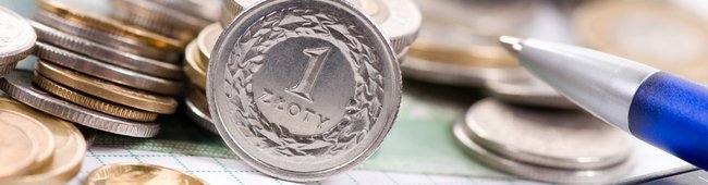 Obraz wprowadzający do artykułu