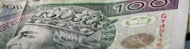 Obraz wprowadzający do artykułu