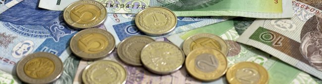 Obraz wprowadzający do artykułu