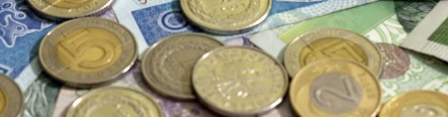 Obraz wprowadzający do artykułu