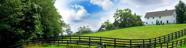 Obraz wprowadzający do artykułu
