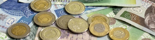 Obraz wprowadzający do artykułu