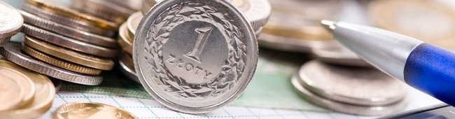 Obraz wprowadzający do artykułu