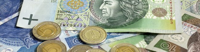 Obraz wprowadzający do artykułu