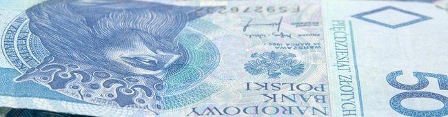 Obraz wprowadzający do artykułu