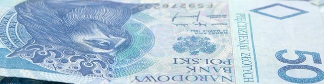 Obraz wprowadzający do artykułu