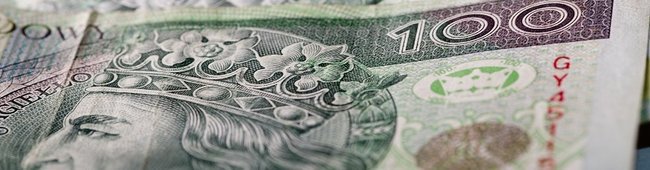 Obraz wprowadzający do artykułu