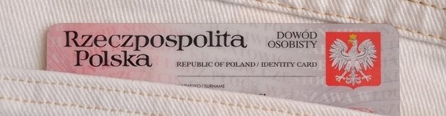 Obraz wprowadzający do artykułu
