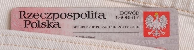 Obraz wprowadzający do artykułu