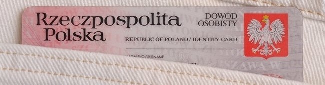 Obraz wprowadzający do artykułu