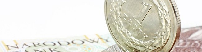 Obraz wprowadzający do artykułu