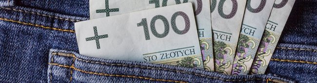 Obraz wprowadzający do artykułu