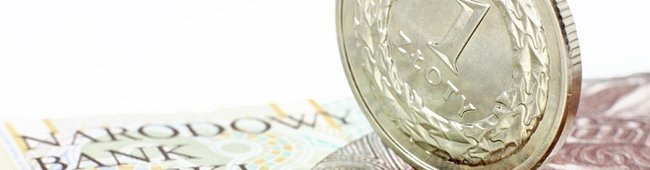 Obraz wprowadzający do artykułu