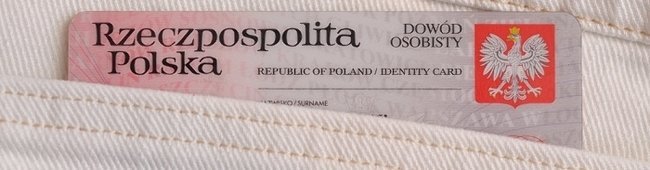 Obraz wprowadzający do artykułu