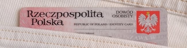 Obraz wprowadzający do artykułu