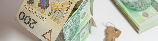 Obraz wprowadzający do artykułu