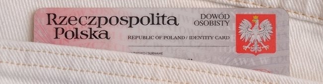Obraz wprowadzający do artykułu