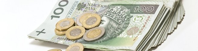 Obraz wprowadzający do artykułu