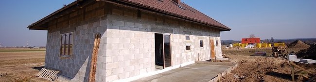 Obraz wprowadzający do artykułu