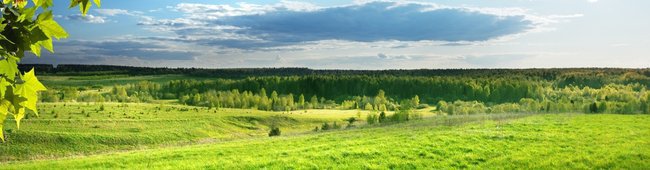 Obraz wprowadzający do artykułu
