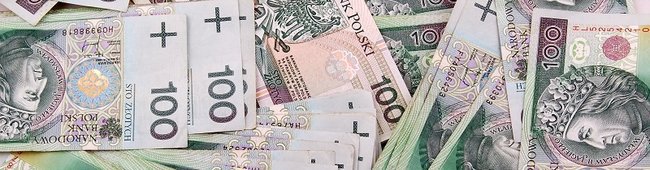 Obraz wprowadzający do artykułu