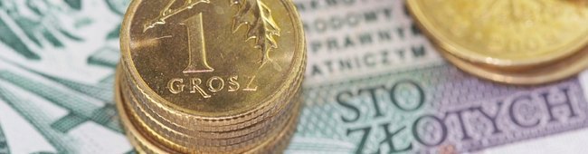 Obraz wprowadzający do artykułu