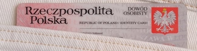 Obraz wprowadzający do artykułu