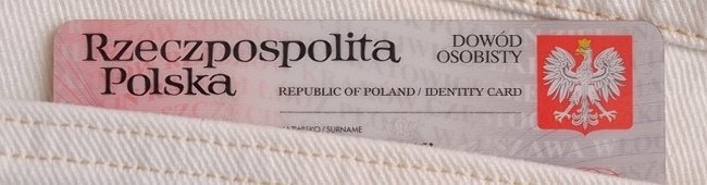 Obraz wprowadzający do artykułu