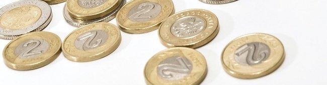 Obraz wprowadzający do artykułu