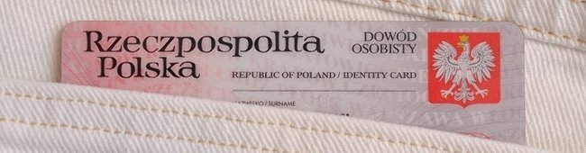 Obraz wprowadzający do artykułu