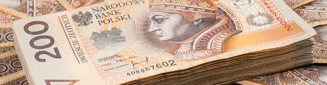 Obraz wprowadzający do artykułu